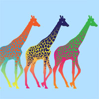 Фотопечать: разноцветные жирафы: