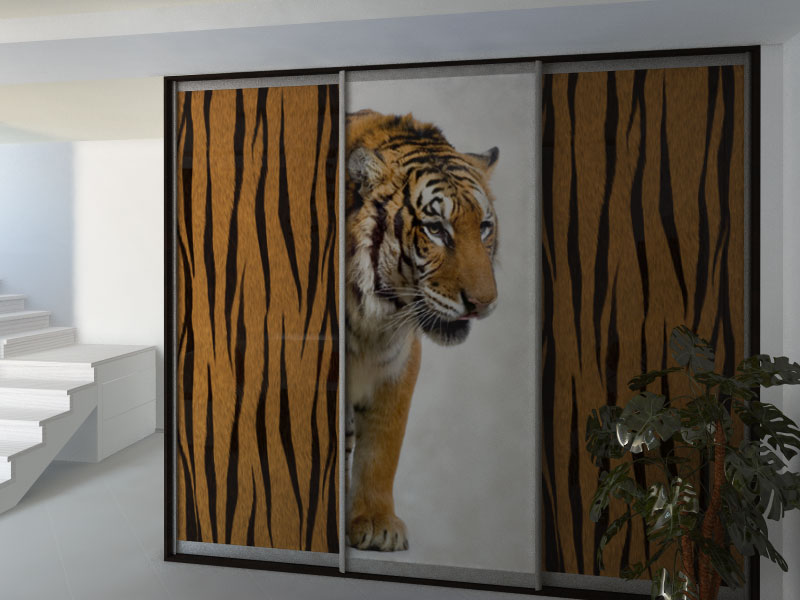 Фотопечать на три двери: тигр, полоски