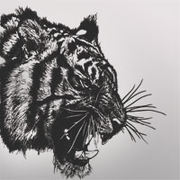 Фотопечать животные: морда тигра