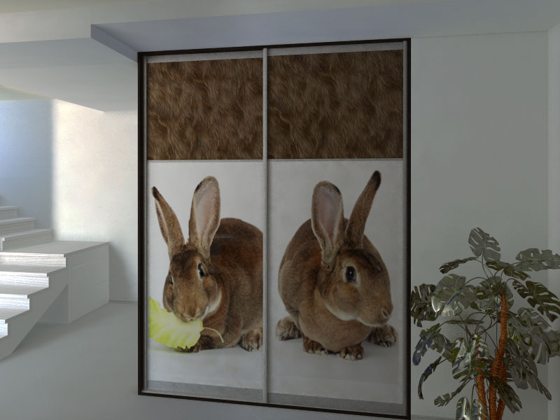 Фотопечать на две двери: коричневые кролики