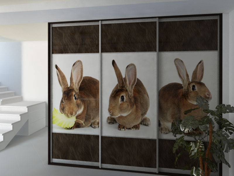 Фотопечать на три двери: кролики
