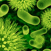 Фотопечать, зеленый фон, макро: микроорганизмы под микроскопом