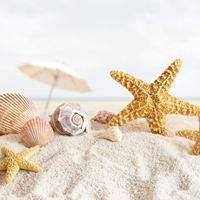 Фотопечать: песок, морская звезда
