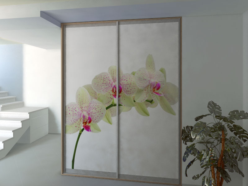 Фотопечать: белая орхидея