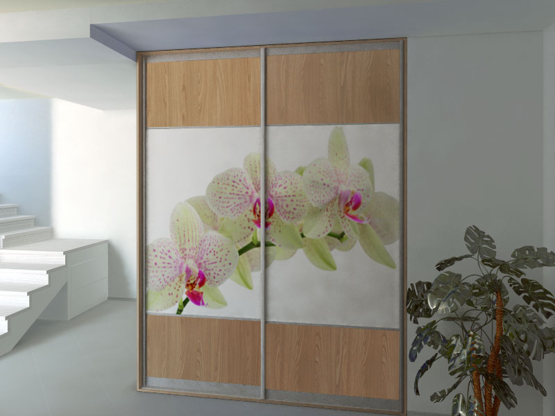 Фотопечать растения: орхидея