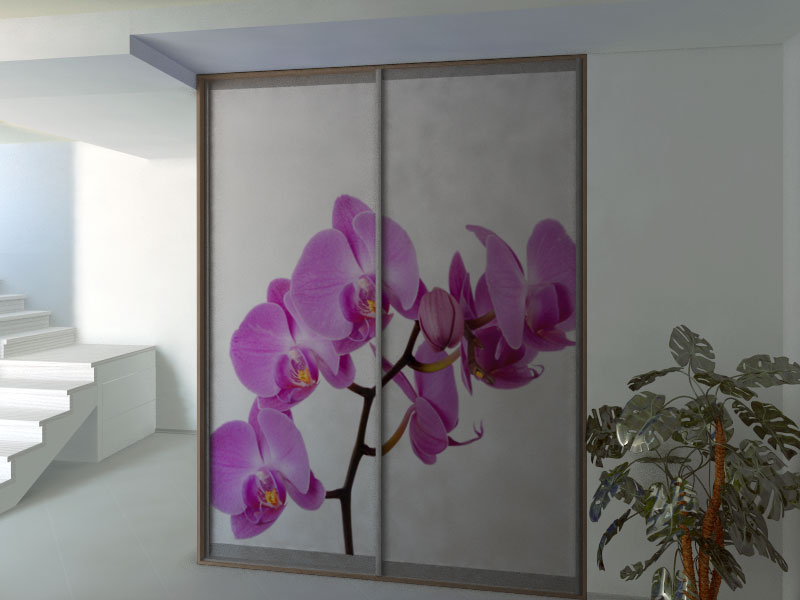 Фотопечать: фиолетовая орхидея