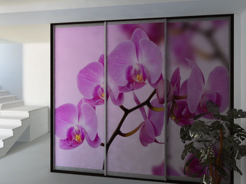 Фотопечать, цветок орхидеи