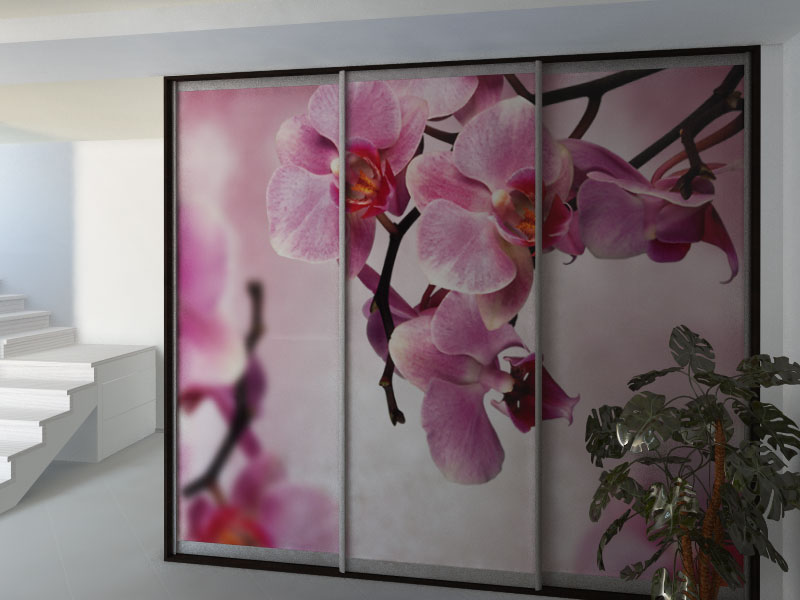 Фотопечать, цветок орхидеи