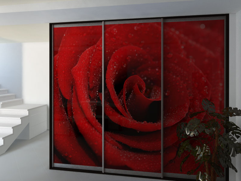 Фотопечать на трех дверях: большая красная роза