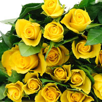 Фотопечать растения: букет желтых роз