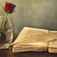 Фотопечать: книга, перо, роза